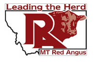 Montana Red Angus Association MTRAA