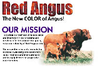 National Red Angus Association NRAA