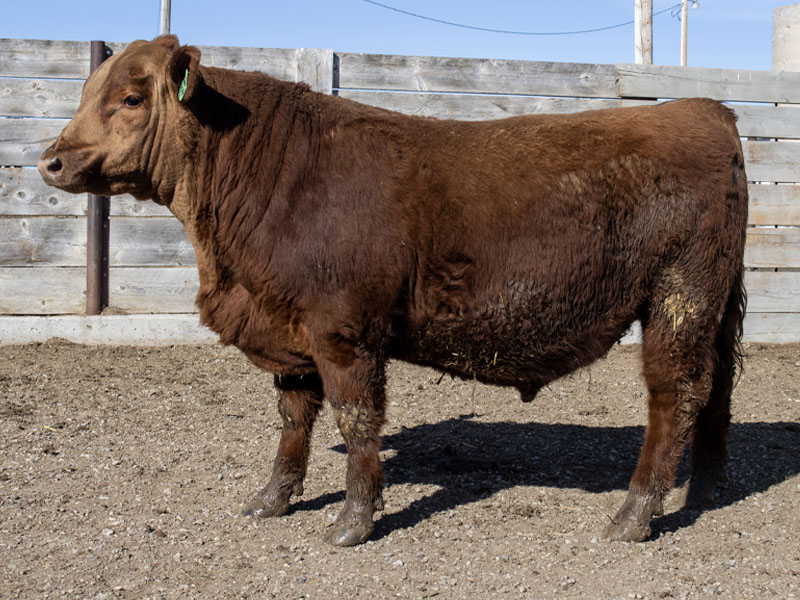 FISCHER SENSORY 4016